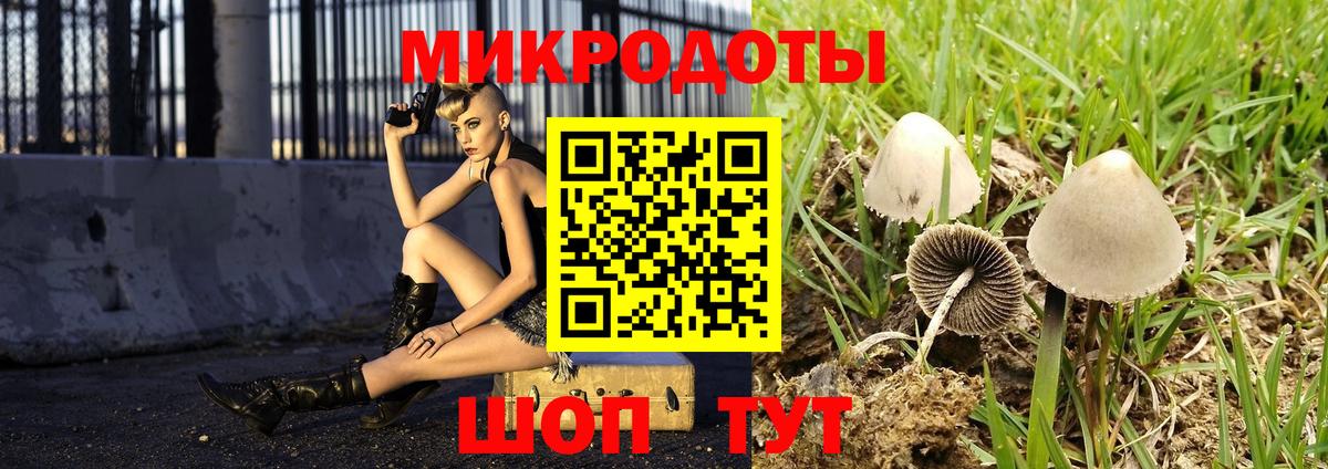 Фролово  Псилоцибиновые грибы GOLDEN TEACHER  Галлюциногенные грибы Magic Shrooms  Вход с VPN 